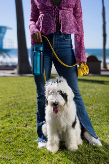LifeStraw Go 2.0 Water Filter Bottle - 1L- Laguna Teal