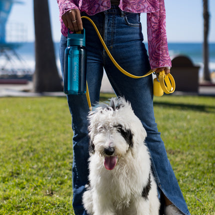 LifeStraw Go 2.0 Water Filter Bottle - 1L- Laguna Teal