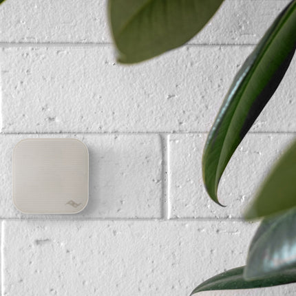 Peak Design - Mobile Wall Mount - Bone