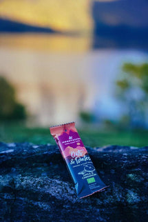Moonvalley Organic Oats & Dates Bar - Apple & Cinnamon - (Per 12 in doos) - Energiereep