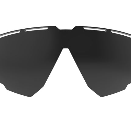 Rudy Project Defender Spare Lenses Smoke Black -Lenzen