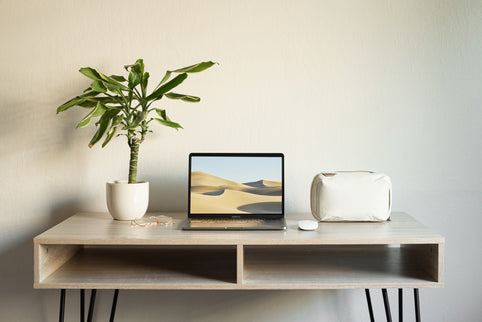 Peak Design - Tech Pouch Bone