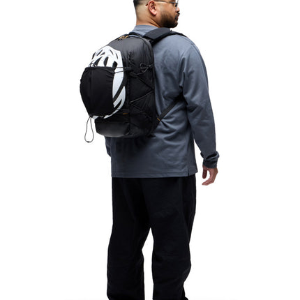 Peak Design Helmet Carry
