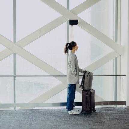 Peak Design - Travel Backpack 20L Stone