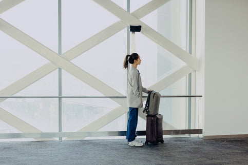 Peak Design - Travel Backpack 20L Stone