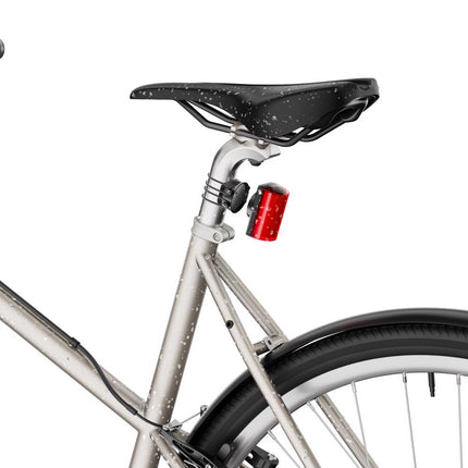 Shapeheart Red Light 280